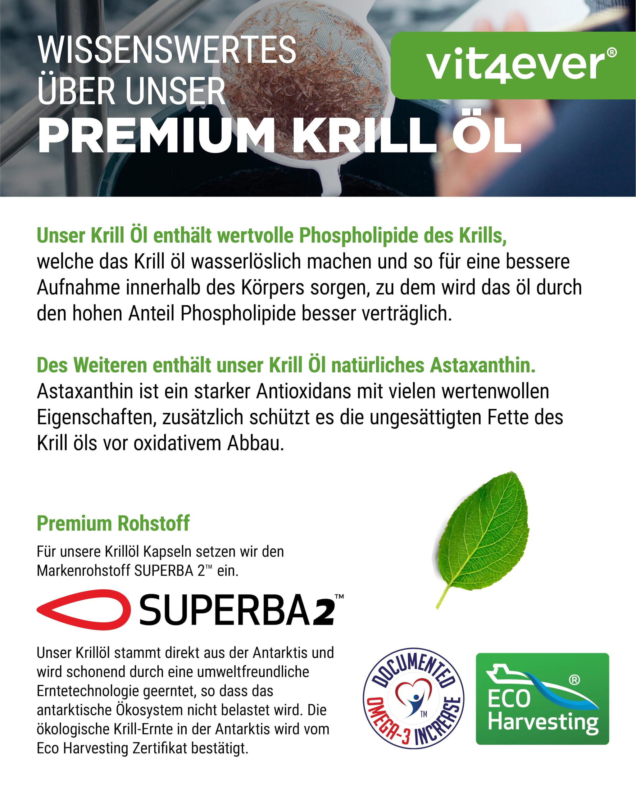 vit4ever Krill Öl - 120 Kapseln - Superba Antarktis Krillöl | 1000 mg Krillöl, EPA & DHA, Astaxanthin, Phospholipide, nachhaltig