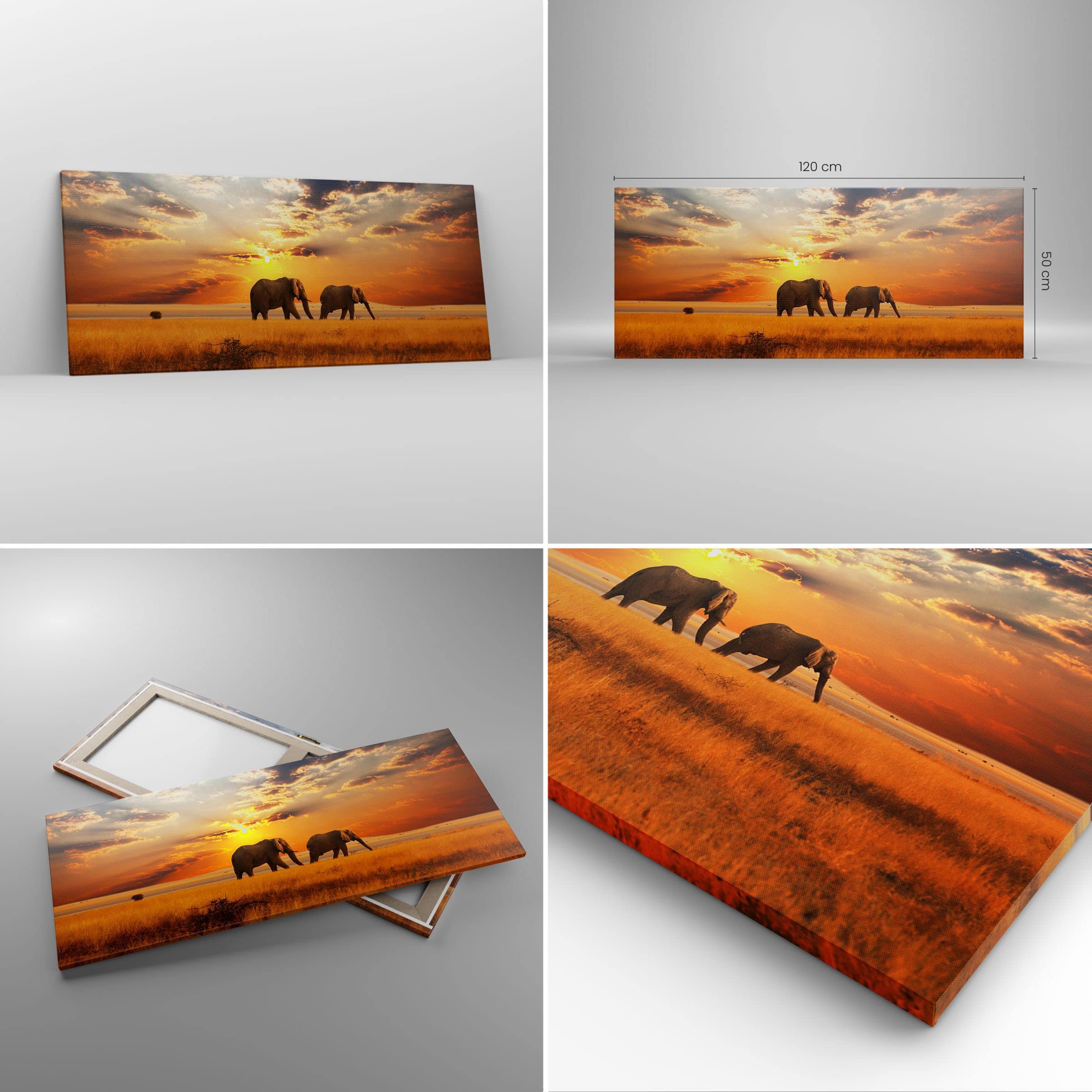 Lienzo Decorativo 120x50cm Moderno Panorámico Paisajes Naturaleza - 3150