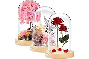 La Cupula: Exquisite Glass Display Dome for Unforgettable Moments