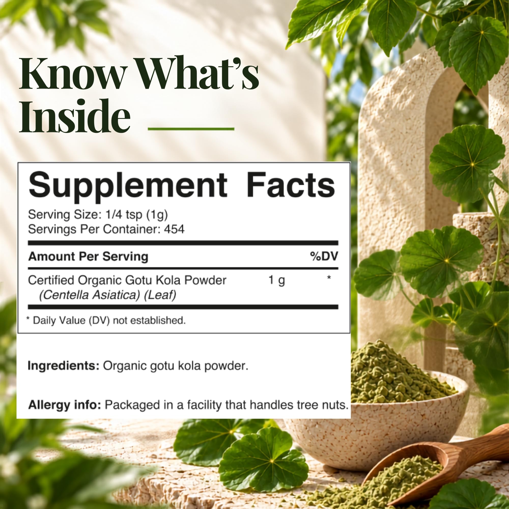 Vitamatic USDA Organic Gotu Kola Powder – 1 lb (16 oz) — Amazon image 2