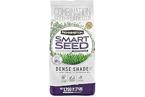 Pennington Smart Seed Dense Shade Grass Mix for Lush, Greener Lawns - Zoiza Grass