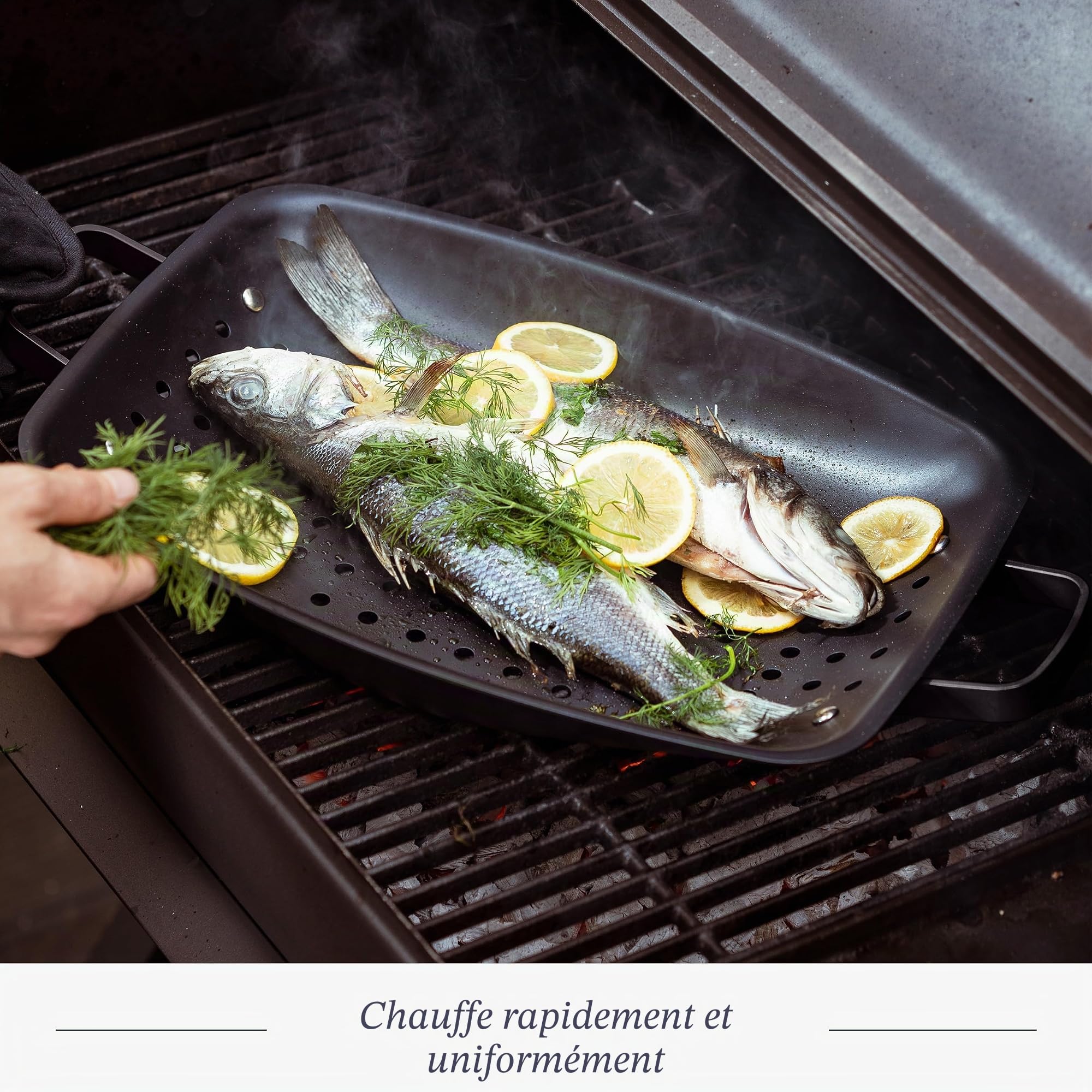 Merten & Storck Carbon Steel BBQ Plaque à Griller Plancha Perforée en Fonte, 28,7cm x 48,8cm, Perforations pour Évacuation d’Huile et Gras, Barbecue, Camping, Grillades, Cuisson en Plein Air, Noir