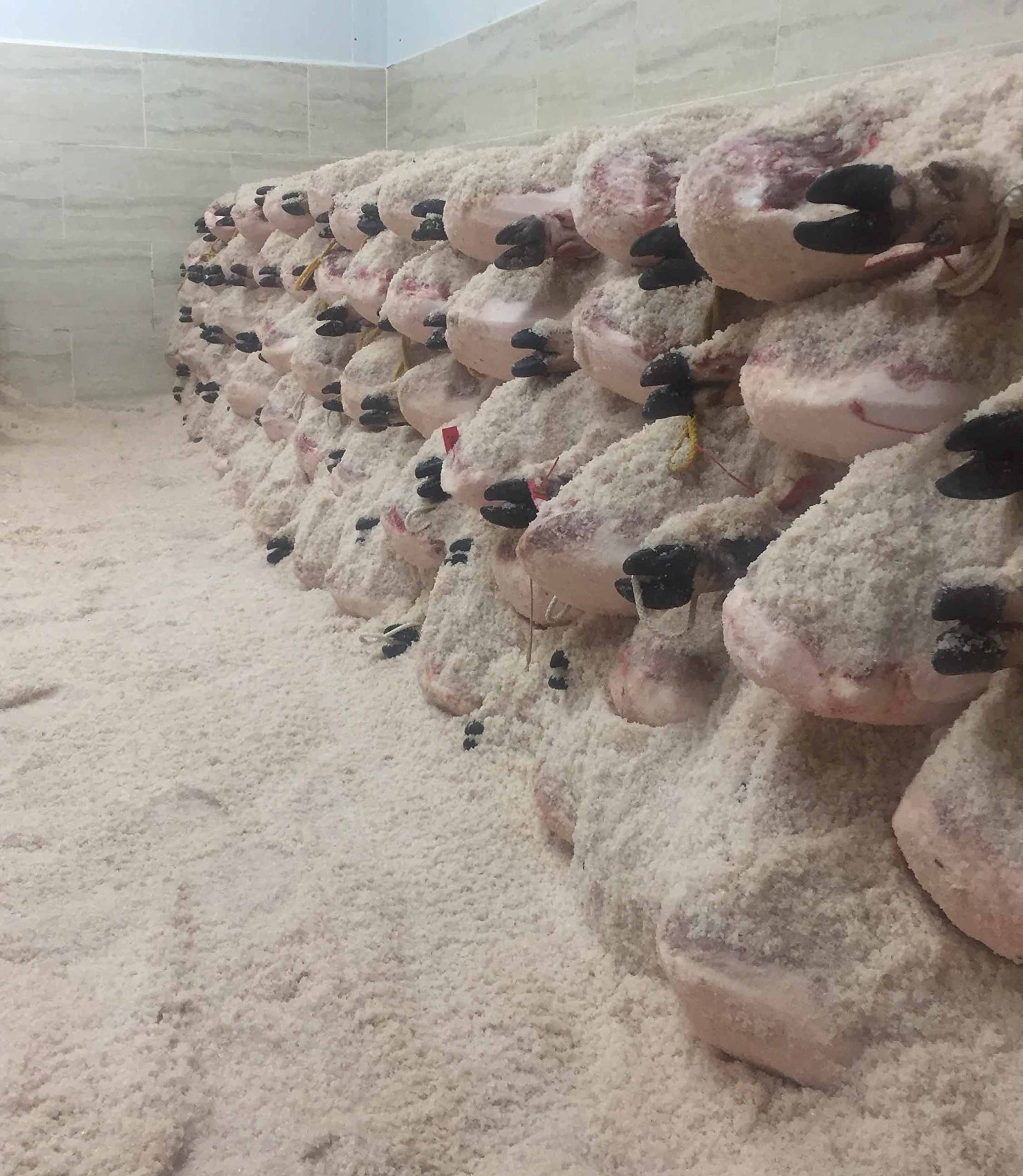 CERROALTO | Jamón de Cebo 100% Ibérico | Peso de 9 a 10 kilos |