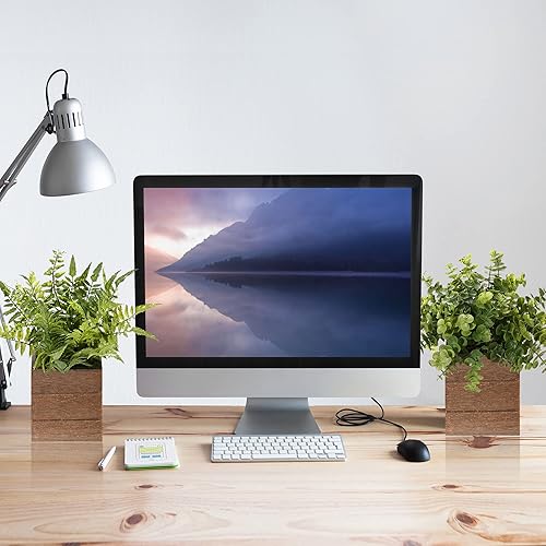 Miniatura 5 de Vlorart Pequeñas plantas falsas, paquete de 2 mini macetas de plástico artificial de boj verde helecho planta decorativa en maceta de madera, planta