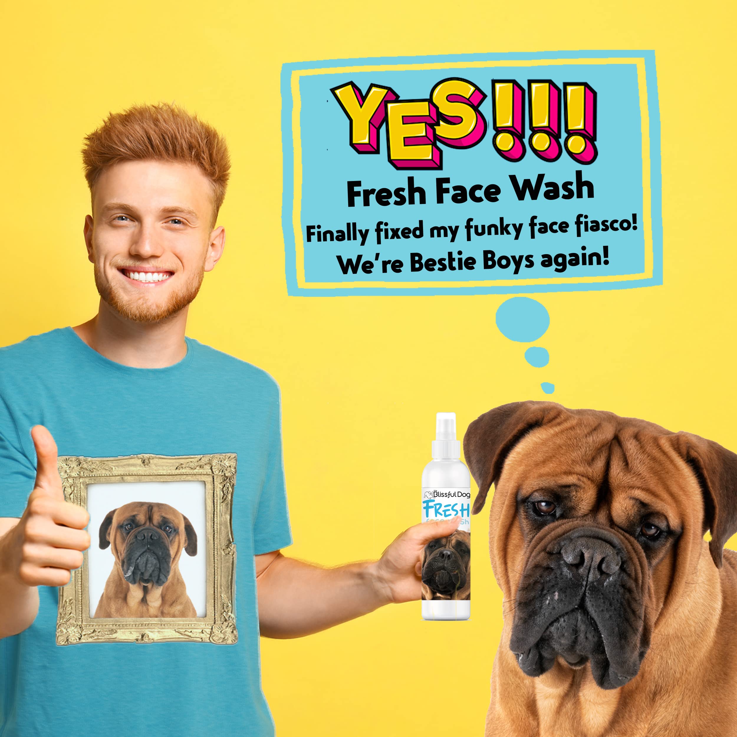 Can I Wash My Dogs Head