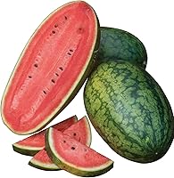 Vista 11 de Burpee Ambrosia Cantaloupe Melon Seeds 30 semillas