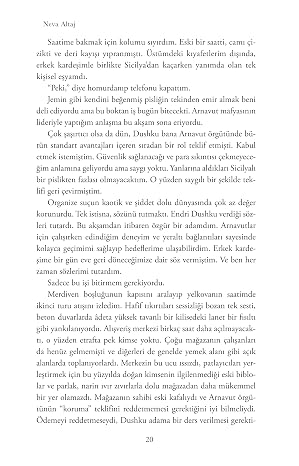 Hırçın Güzellik: Mafya Mirası 1