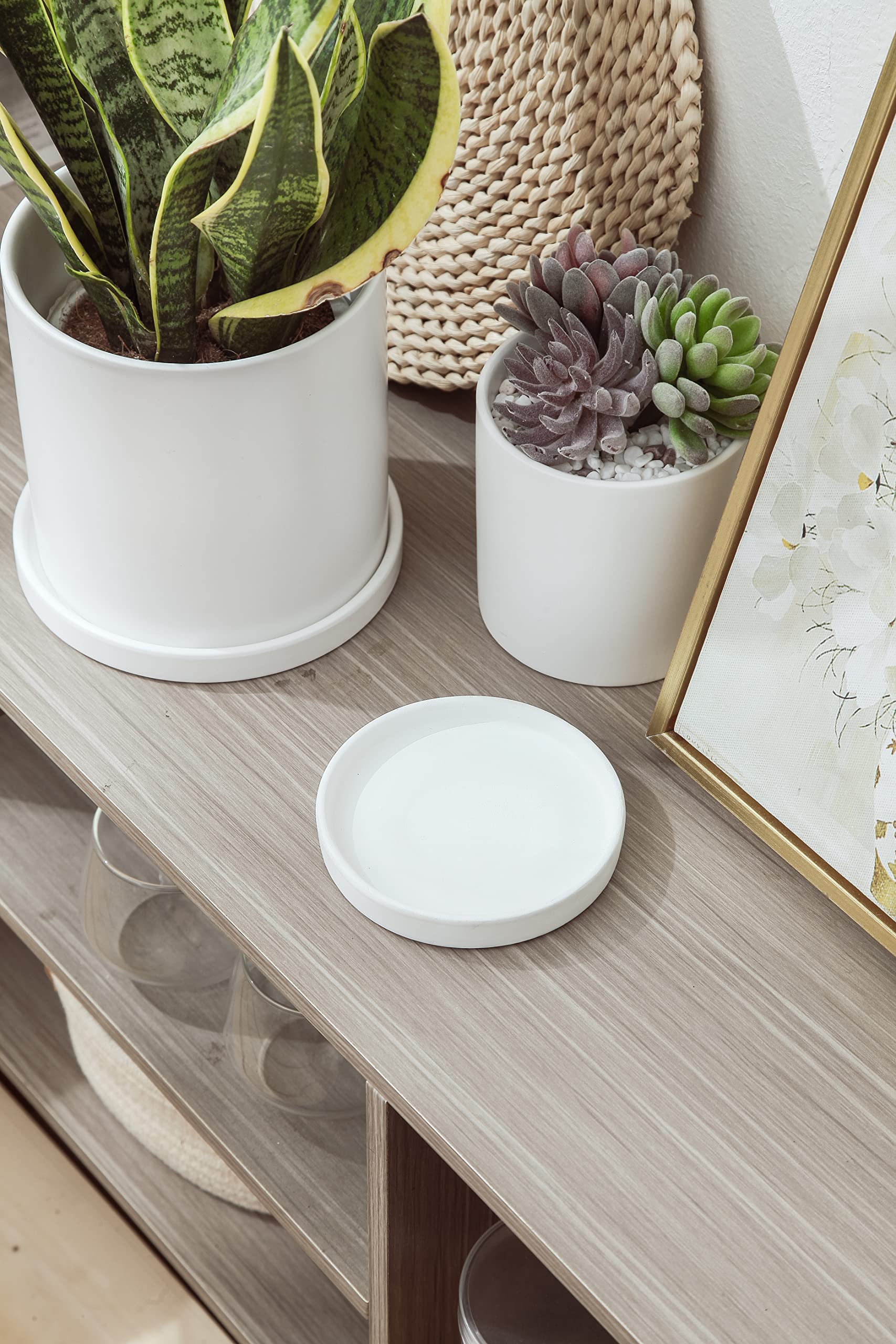 Amazon.com : Woiida 6 inch Matte Wihte Ceramic Plant Saucer (2