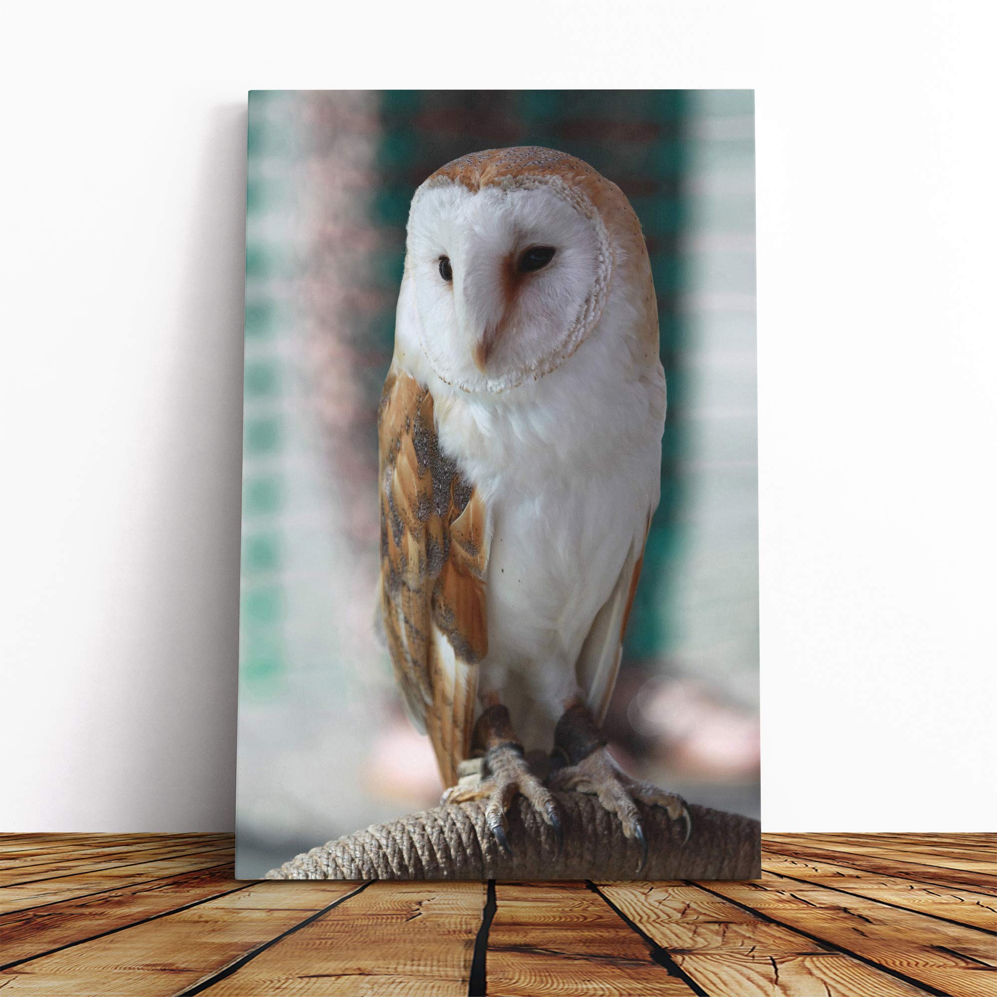 Barn Owl Canvas Print | Gallery Wrapped 30mm Frame Wall Art | 20x14 inches | Ready to Hang | Modern Animals Picture | Living Room Bedroom Lounge Office