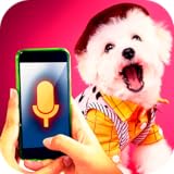 Funny jokes with your friends and your dog