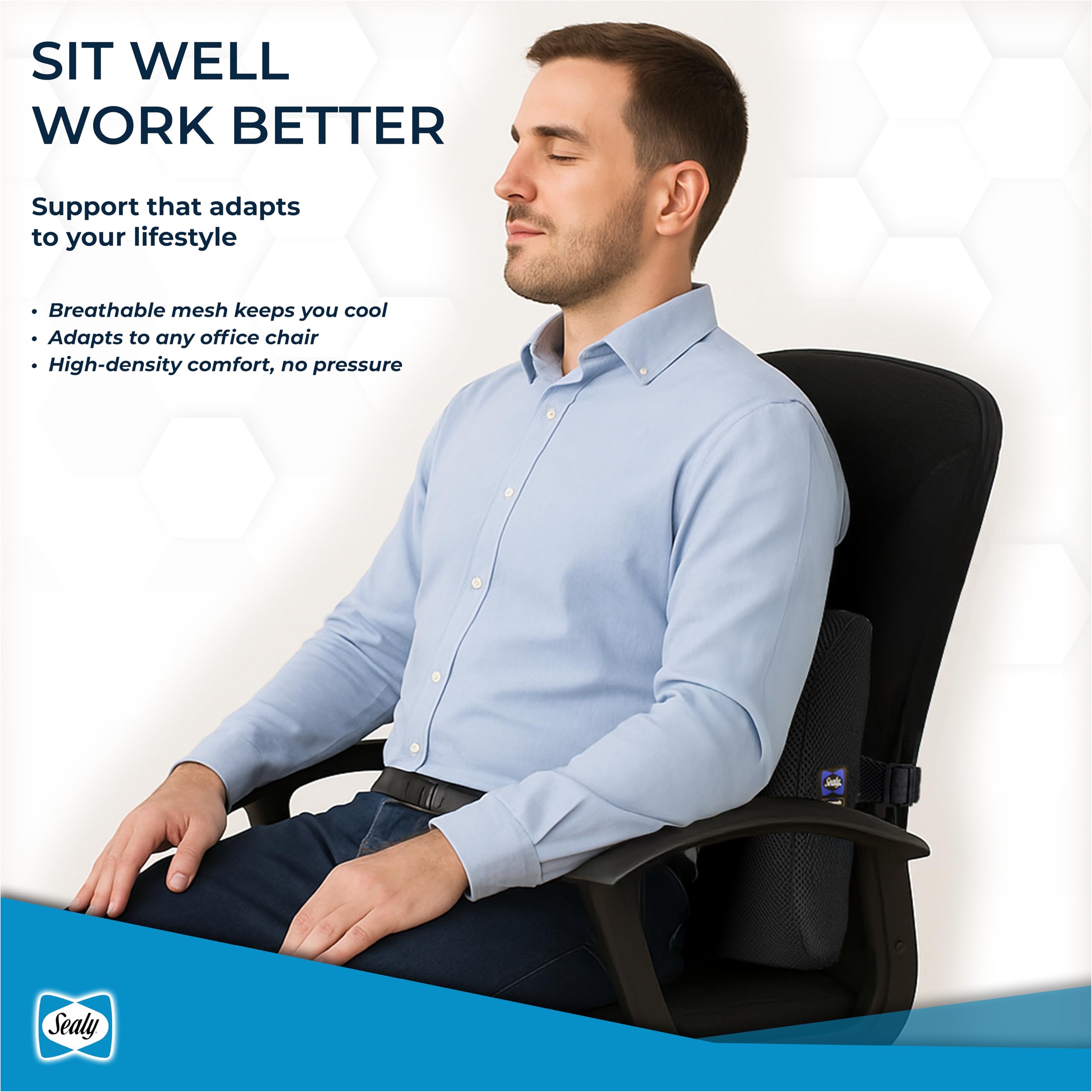 Amazon.com: Sealy Lumbar Support Pillow for Office Chair and Car