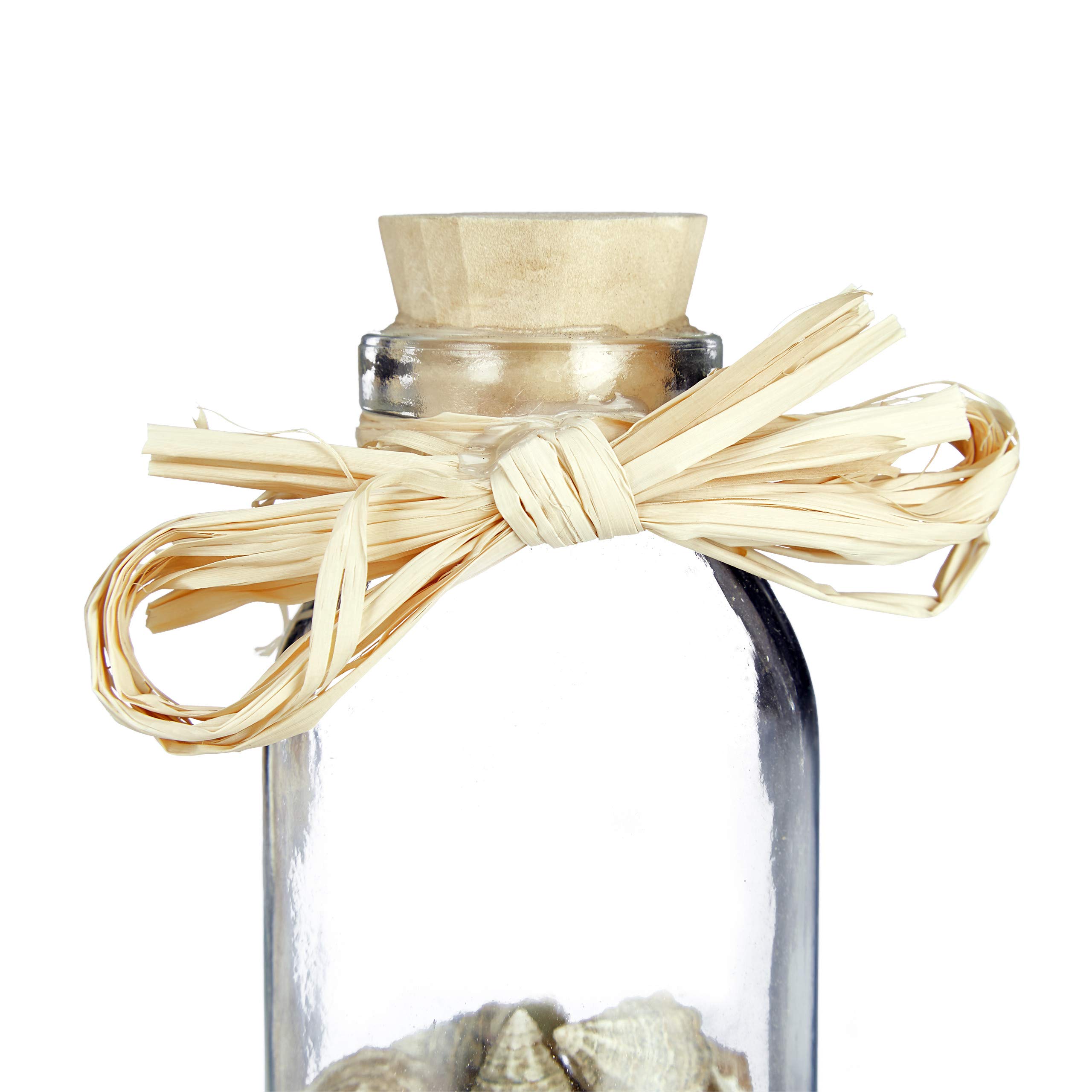 Relaxdays Bottigliette Deco con Conchiglie, Set da 5, Arredo Marino da Bagno, Mini Vasetti, Naturale