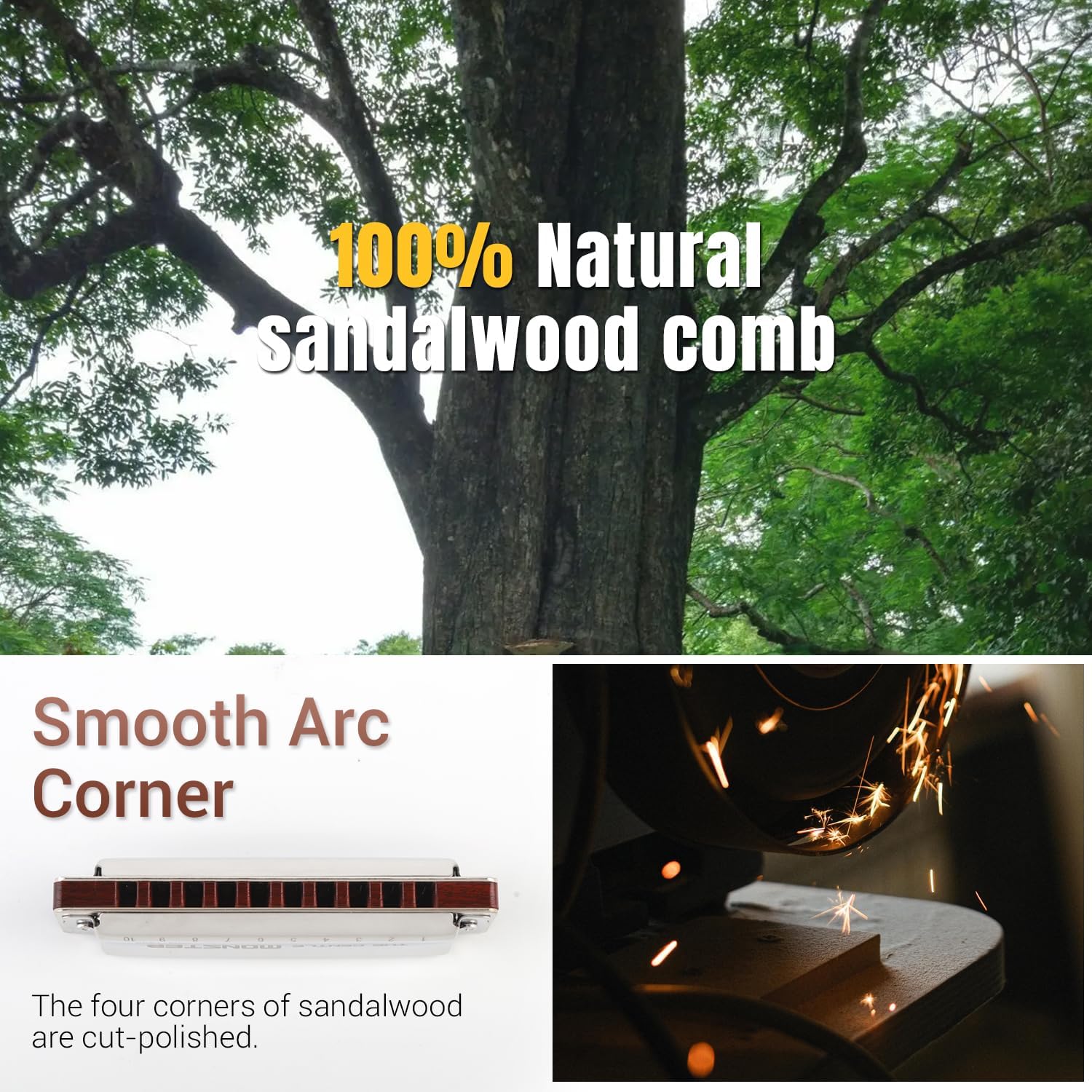 JDR Blues Harmonica Key of C Gentle Monster, Wood Blues Armonica 10 Hole Compromise Tuning Harp for Adults Professional Beginners Mouth Organ with Case