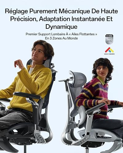 Hbada E3 Pro Édition 2026 Fauteuil de Bureau Ergonomique, Support Lombaire Dynamique 3 Zones, Accoudoirs 720°, Certifié IGR/BIFMA, Idéal Mal de Dos & Télétravail (Noir, avec Repose-Pieds) - 2