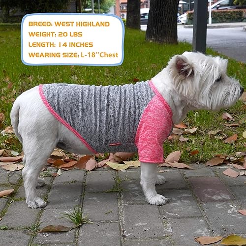 Miniatura 6 de KYEESE Paquete de 2 camisas para perro, manga raglán, de secado rápido, ligeras, elásticas, protegen contra las colas de zorro, camisetas para