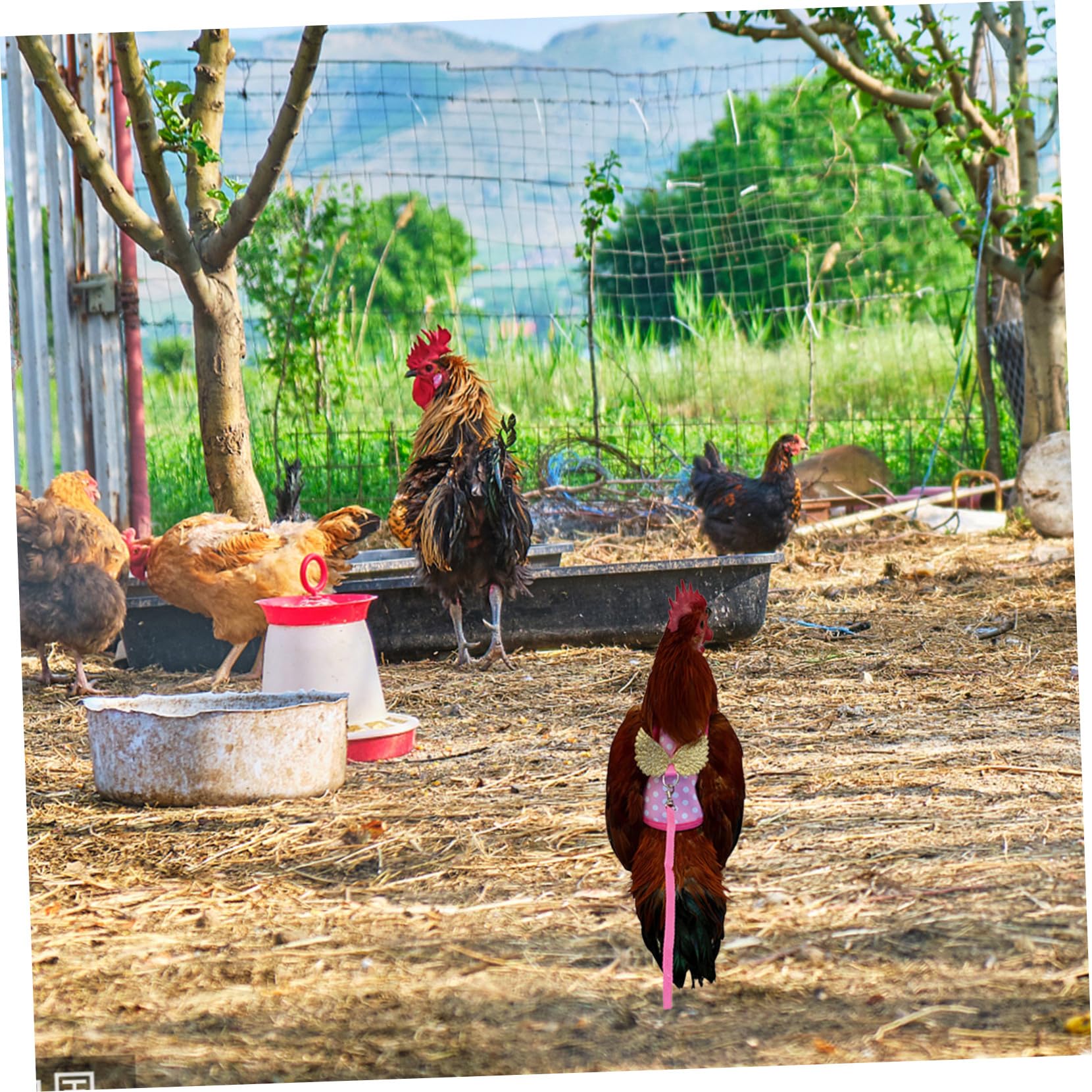 ERINGOGO Adjustable Chicken Harness Vest with Leash for Hens and Roosters Durable Design for Autumn Winter Chicken Accessory for Outdoor Training and Themed Parties