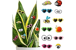 Captivating Magnetic Plant Pins: Enchanting Eyes for Potted Delights