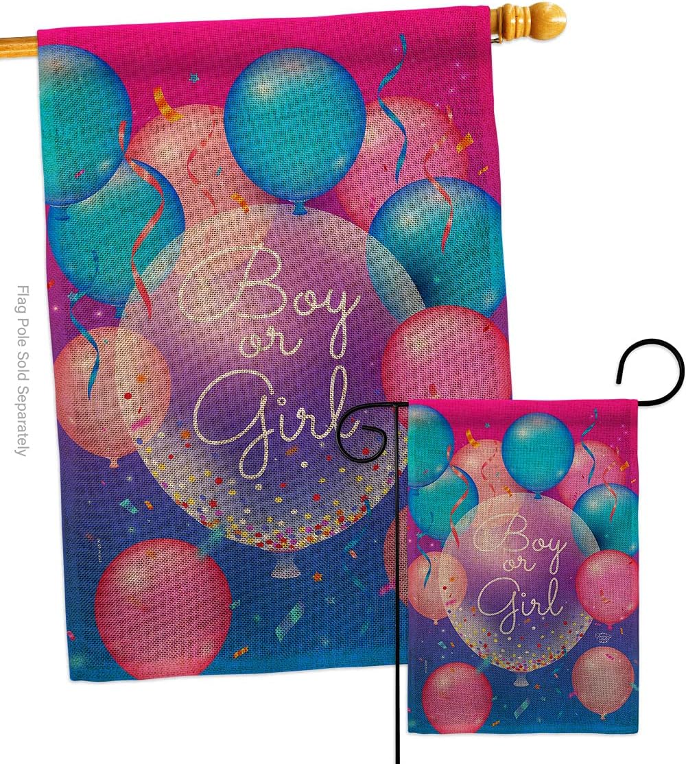 Boy Or Girl House Flag Celebration New Born Baby Shower Occasion Anniversary Party Small Decorative Gift Yard Banner Double-Sided Made In USA 28 X 40