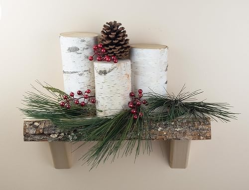 Miniatura 4 de Wilson Pilares de abedul blanco - Juego de 3 3, 5 y 7 pulgadas de alto x 3.5-5 pulgadas de diámetro