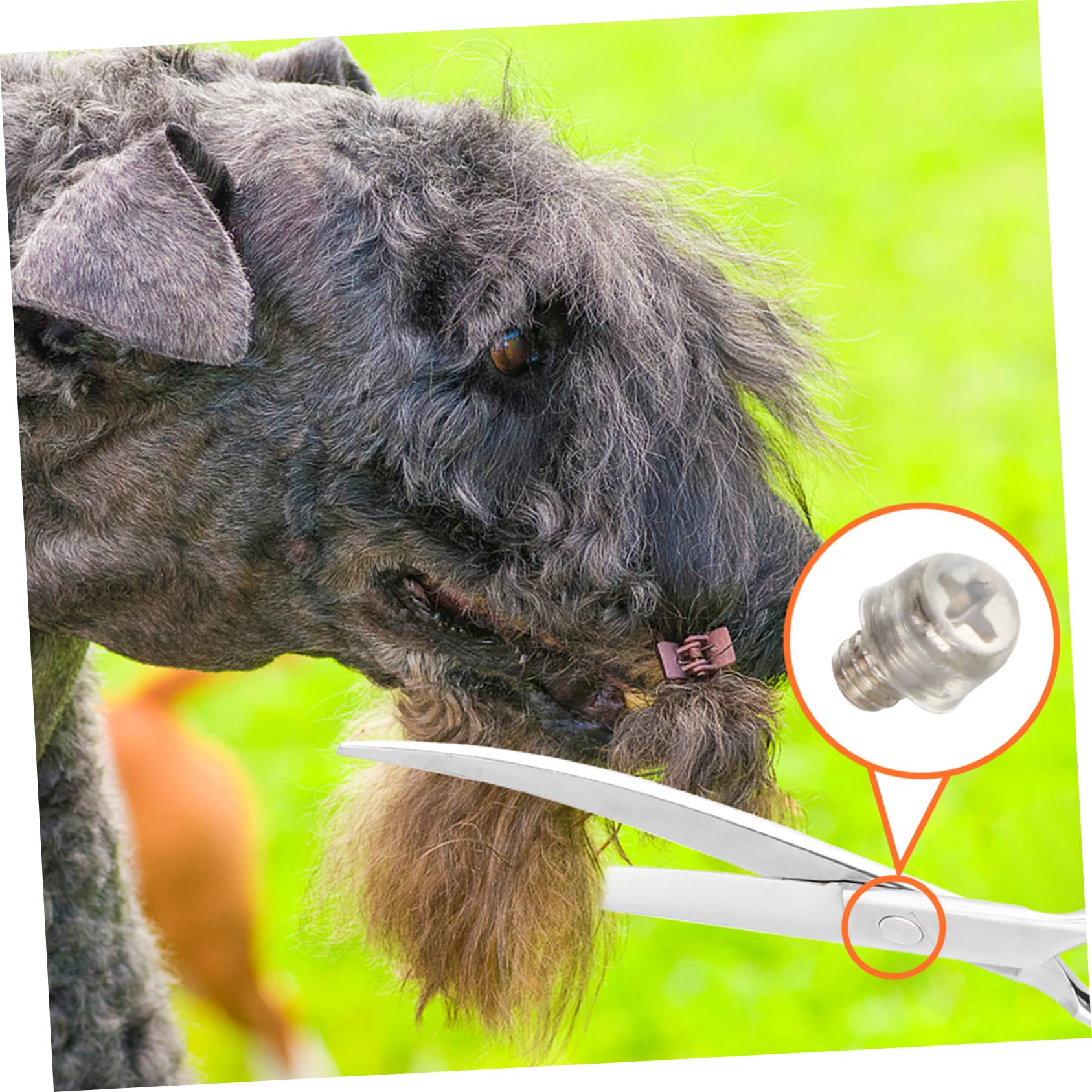 COLLBATH Scissor Noise Reducer 10pcs Scissor Bumpers Pet Haircutting Scissors Accessories