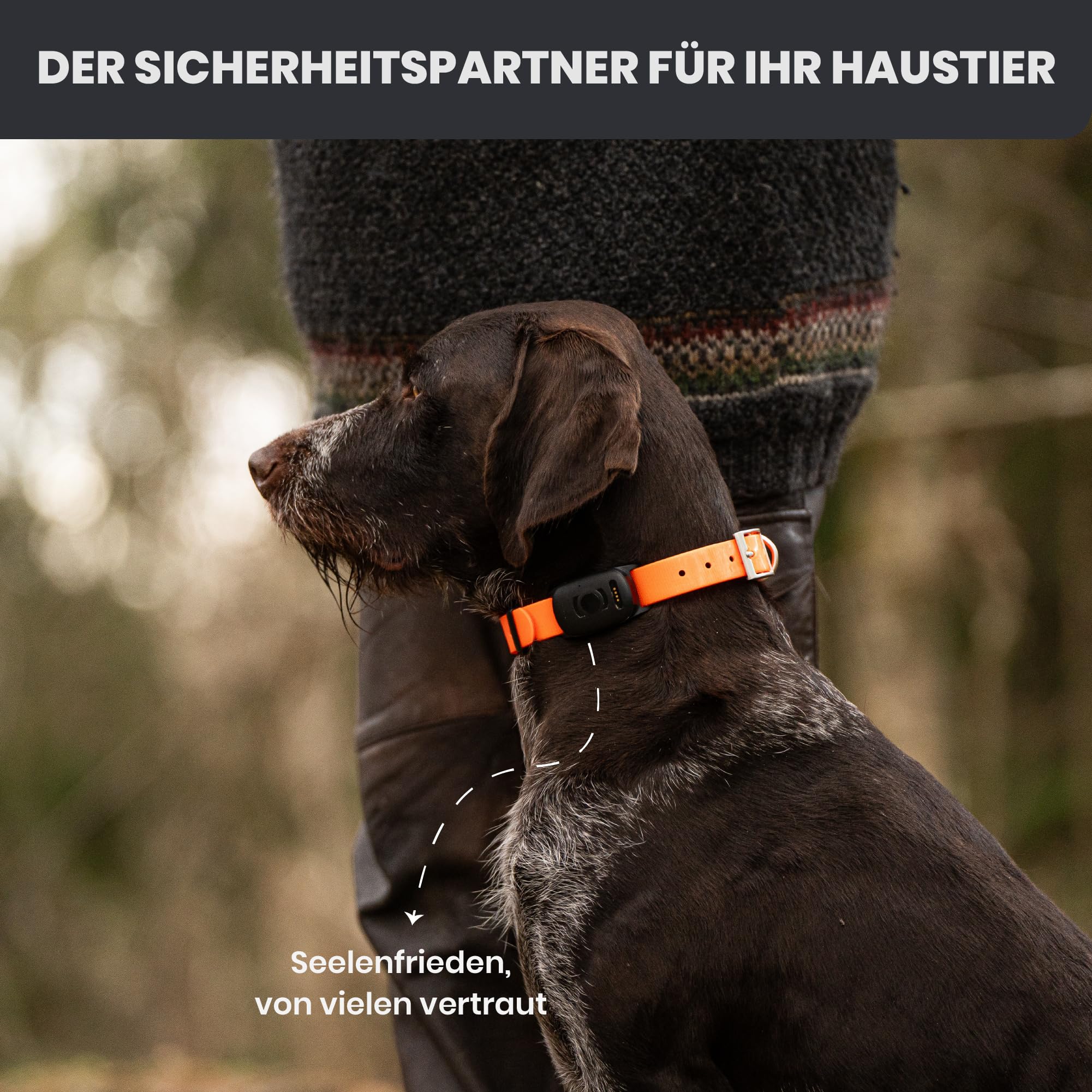 MiniFinder Atto Pro GPS Tracker Hund Echtzeit-Ortung, Hunde GPS Tracker mit integrierter SIM Virtuellem Zaun Escape-Alarm, Wetterfest 35h Akku GPS Ortung Haustier