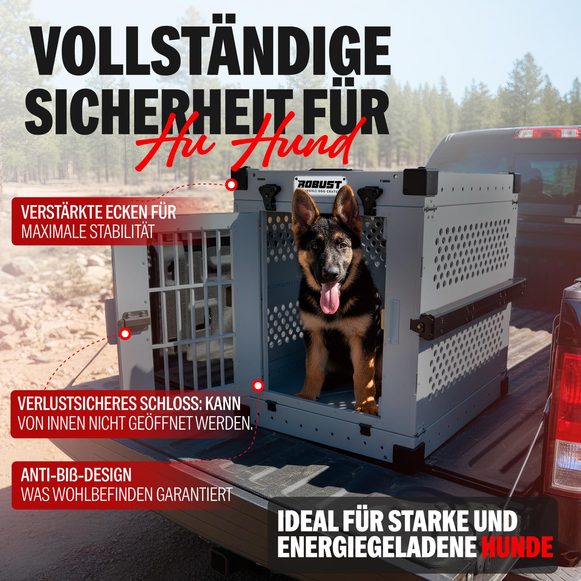 ROBUST Hundetransportbox Auto Faltbar für Alle Hunderassen – Leichte Hundebox aus Aluminium mit Verstärkten Ecken | Tragetasche Hund Kofferraum für Zuhause, Auto, Ausflug und Flugreisen (Gris, L)