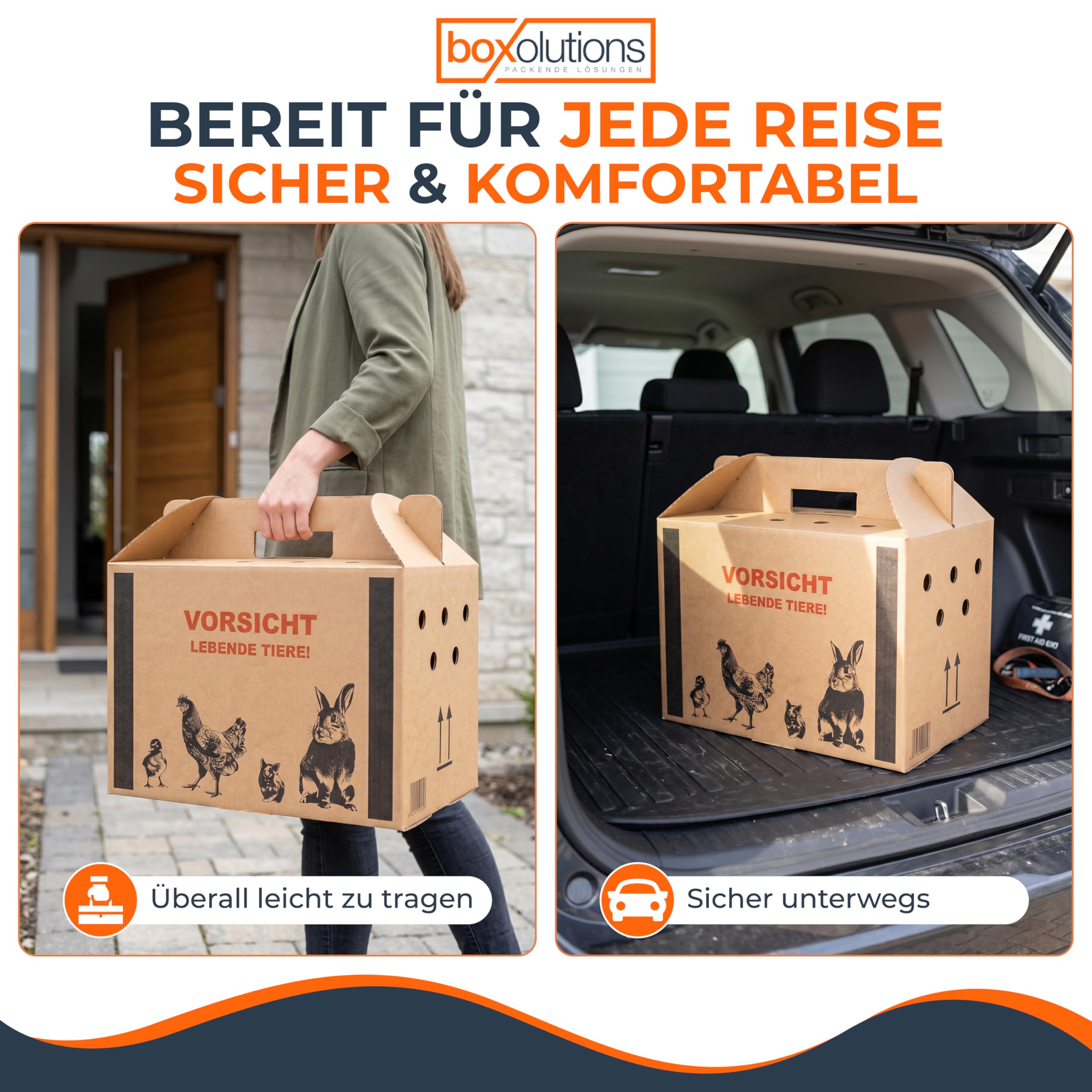 Transportkarton für Tiere Tiertransportkarton für Kleintiere - Geflügeltransportkiste - Hasen Transportbox - Hühnertransportbox - Transportbox Vogel - 580 x 309 x 369 mm (L) - 10 Stück