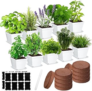 Ripeng 10 Set Herb Garden Kit Indoor Herb Garden Starter Kit with Pots N...