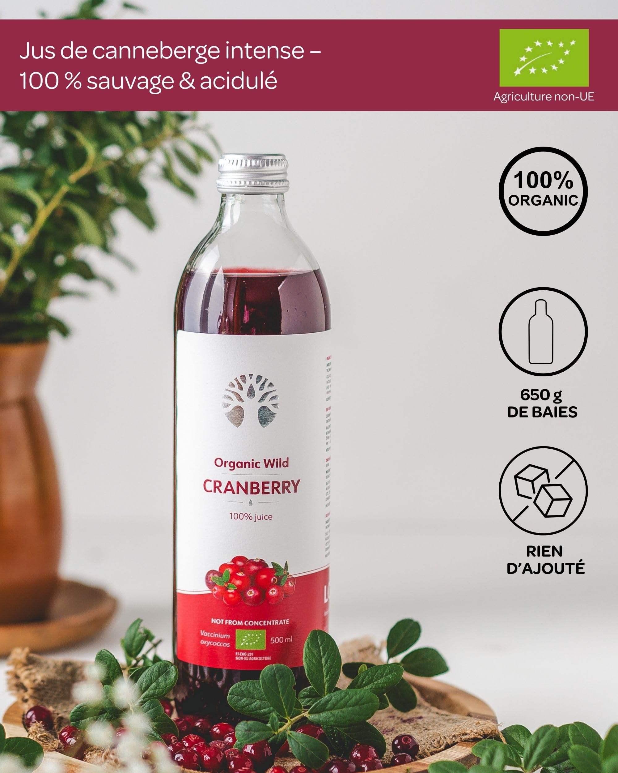 Jus de canneberge sauvage bio – 100% pur, pressé à froid, sans sucre ni eau ajoutés – 6 bouteilles en verre de 500 ml