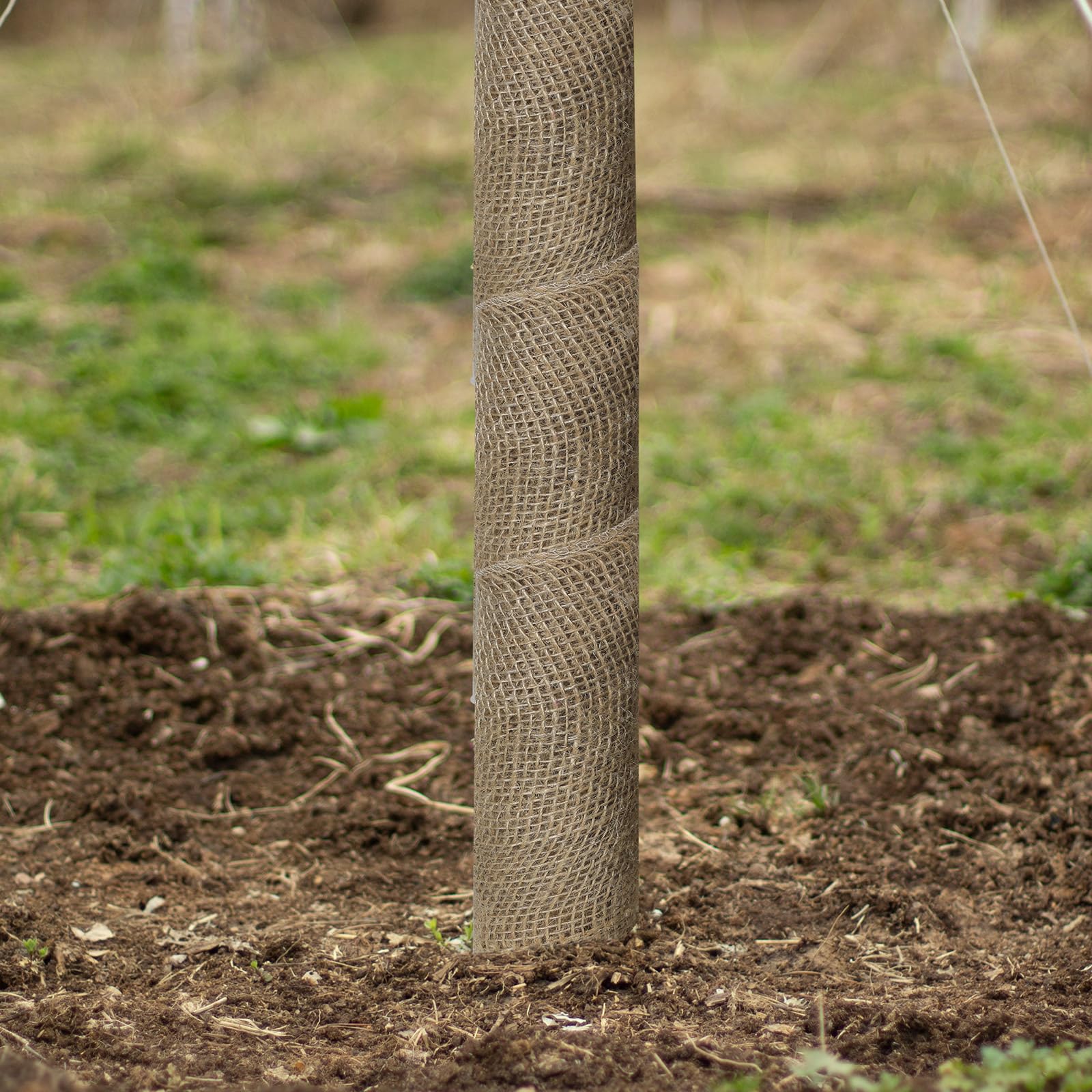Rotolo di iuta naturale per giardinaggio, 19,8 x 30,5 m, protezione per tronchi d'albero, rotolo di iuta per mantenere caldo e idratare (19,8 cm x 30,5 m)