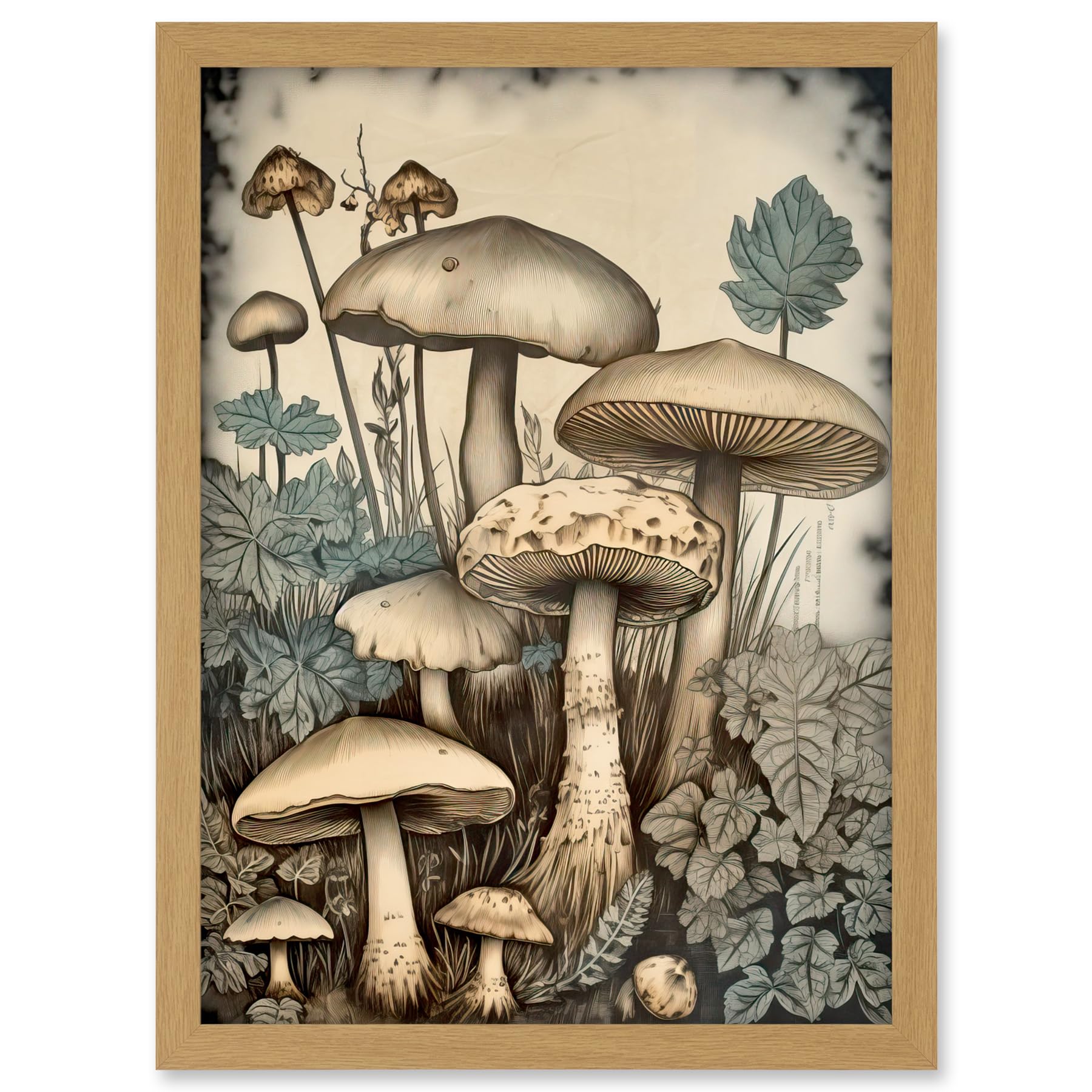 Artery8 Mushroom Fungi Watercolour Vintage Cottagecore Aesthetic Rustic Decor Artwork Framed A3 Wall Art Print