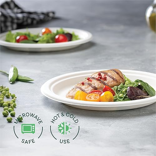 Miniatura 10 de Platos de papel 100% compostables de 10 pulgadas a granel 500 unidades Platos de cena resistentes  Bagazo natural sin blanquear  Platos ecológicos