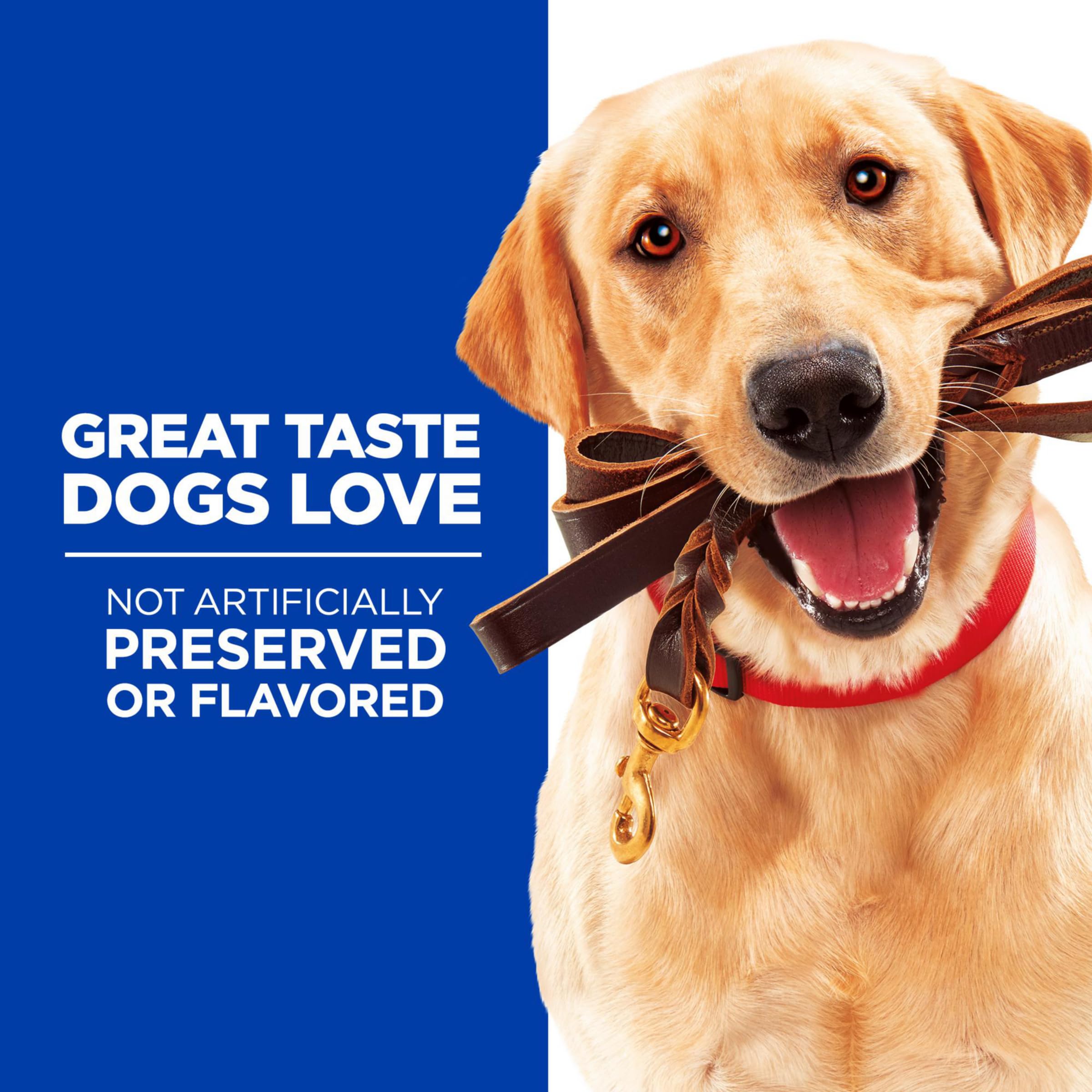 Hill's Natural Training Soft & Chewy Treats, All Life Stages, Great Taste, Dog Treats, Chicken, 3 oz Bag - image 3