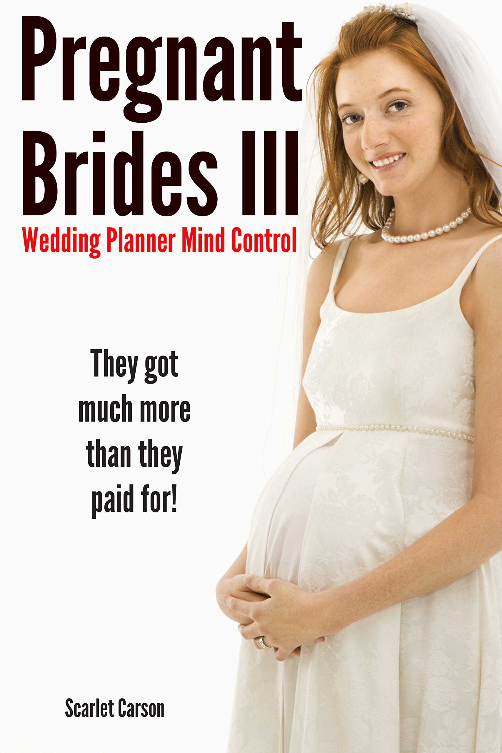 Pregnant Brides III: The Erotic Wedding Planners