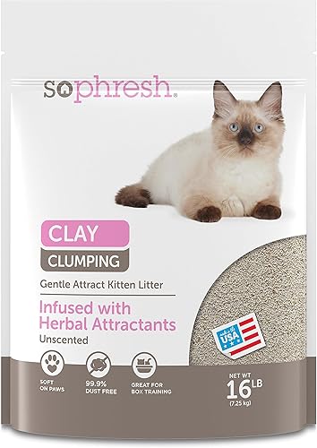 So Phresh Arena para gatos y gatitos exigentes, 16 libras.