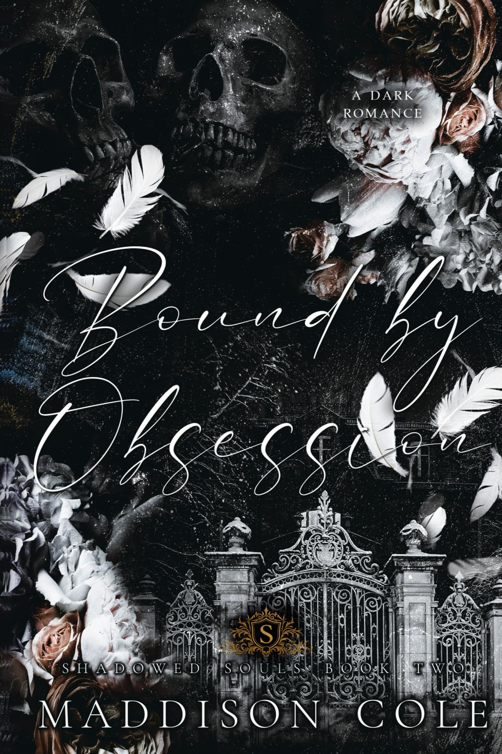 Bound by Obsession: Shadowed Souls Book Two: Dark Why Choose Academy Romance: 2
