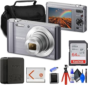 Amazon.com : Sony Cyber-Shot DSC-W810 Digital Camera (Silver) (DSC