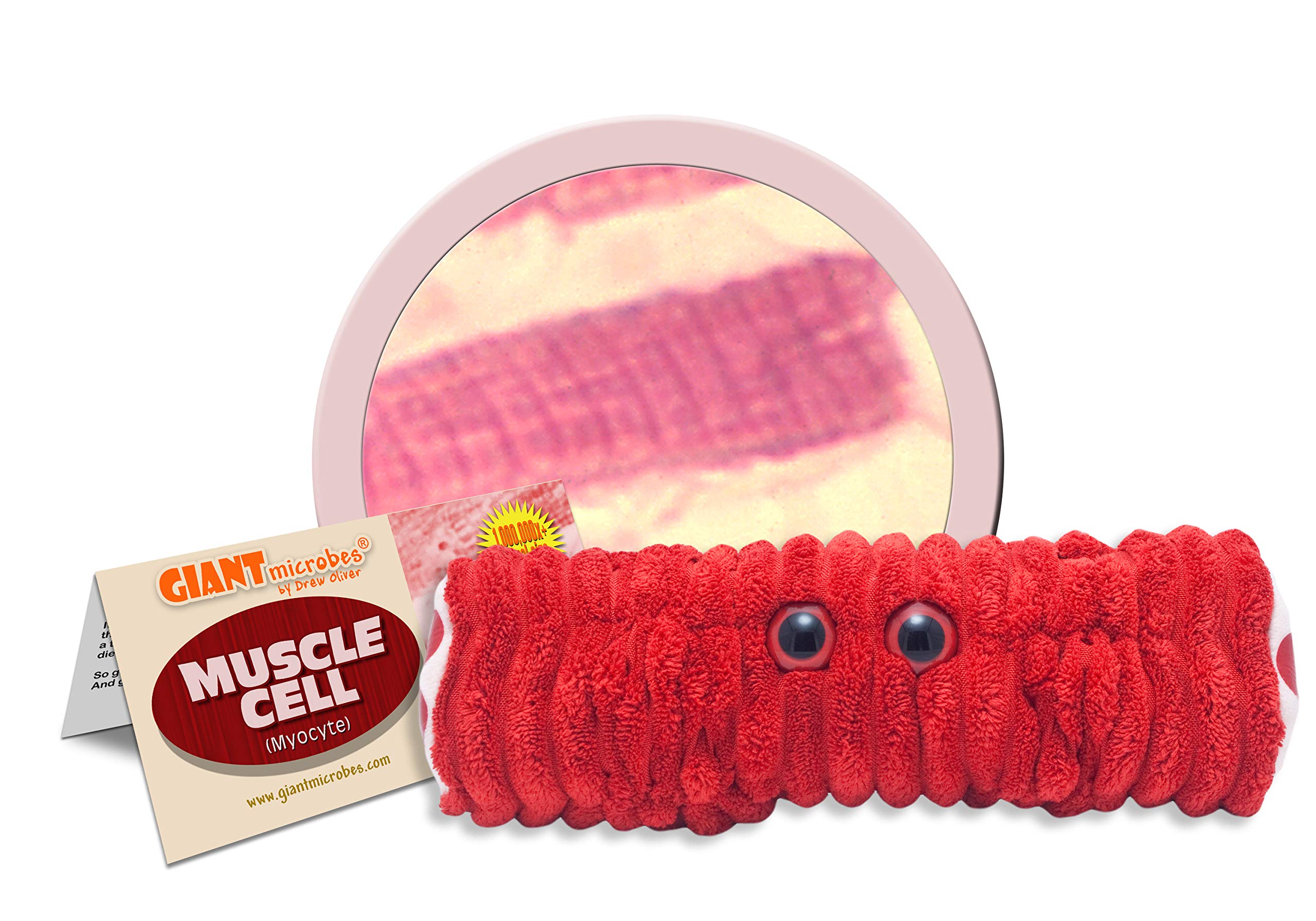 GIANTmicrobes Muscle Cell (Myocyte) Plush Toy