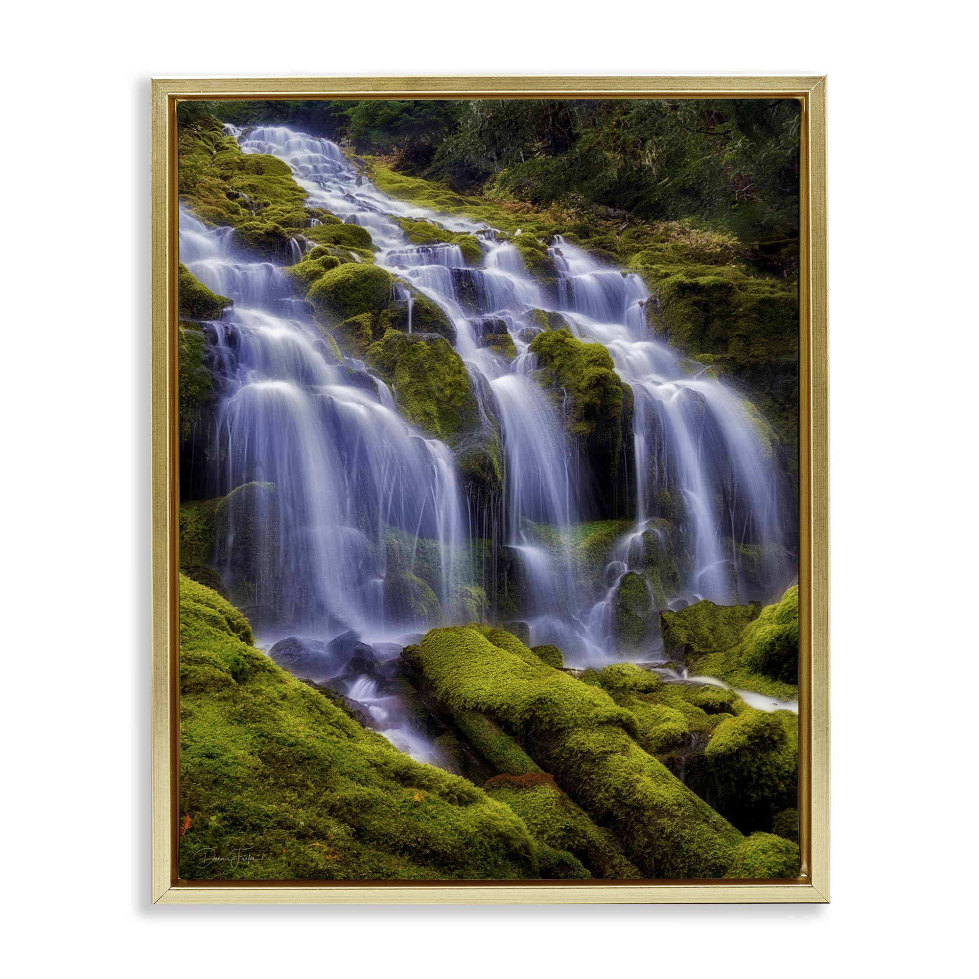 Stupell Industries Metallic Gold (Matte) 'Upper Proxy Falls', Floating Frame Canvas Art, Gold, 25 X 31 Inches, Easy To Hang And Sturdy, Made In Usa, By Dennis Frates