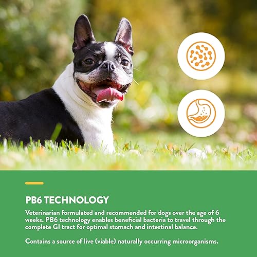 Miniatura 5 de NaturVet Probióticos y enzimas avanzados - Apoya y equilibra a las mascotas con estómagos sensibles - 240 unidades y suplemento todo en uno para