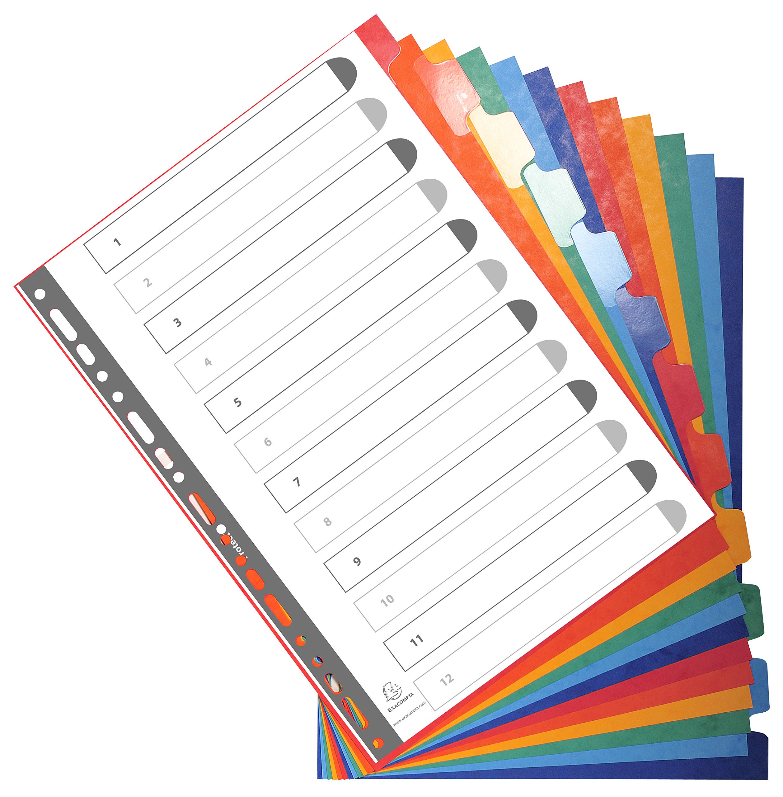 Exacompta Divisori A4, 225 g/mq, 12 pezzi, multicolore