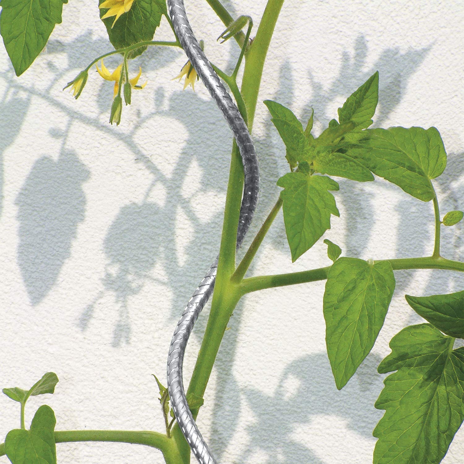 bellissa Tomatenspiralen Tomaten-Stangen 20 Stück Zink 180 cm Ø 7 mm | Hochwertige Spiral-Stäbe für das Ranken im Garten