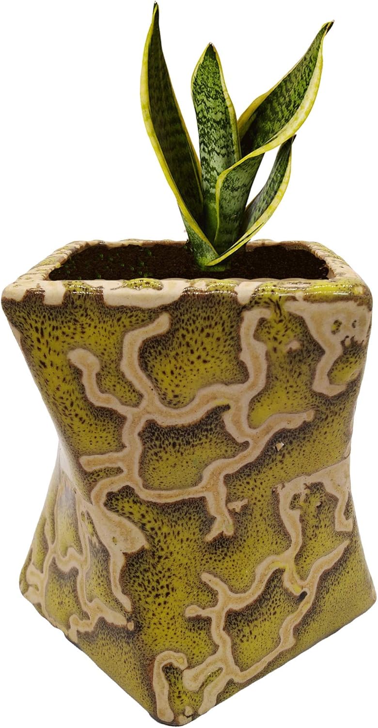 Ceramic Flower Pot Planter Pot Indoor Outdoor Planter Handicraft by Awarded Indian Artisan (Cream)