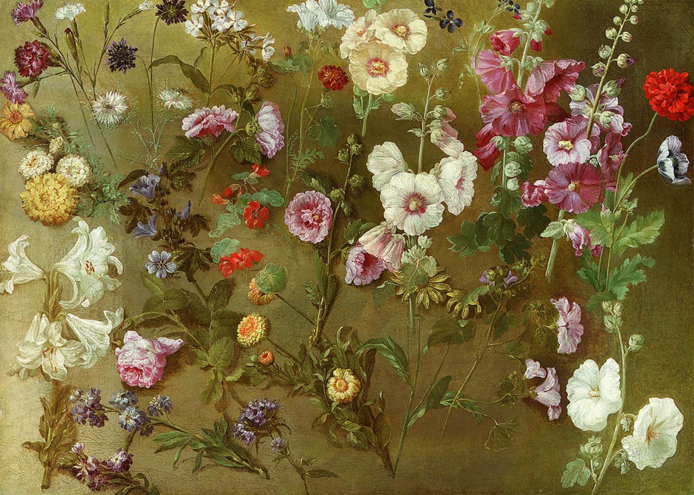 POSTERIIk Vintage Art Print Images Pictures Print Composition of Flower Studies Including Carnations Pincushion Flowers by Hyacinthe Rigaud Modern Colour Posters for Office Home Decor 60x90cm