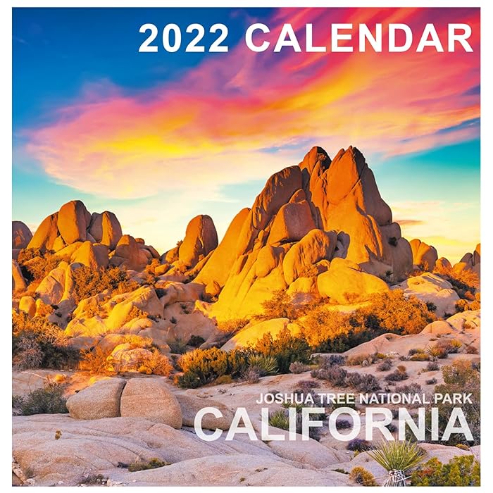 Buy 2022 Calendar Monthly Wall Calendar, Jan 2022 December 2022