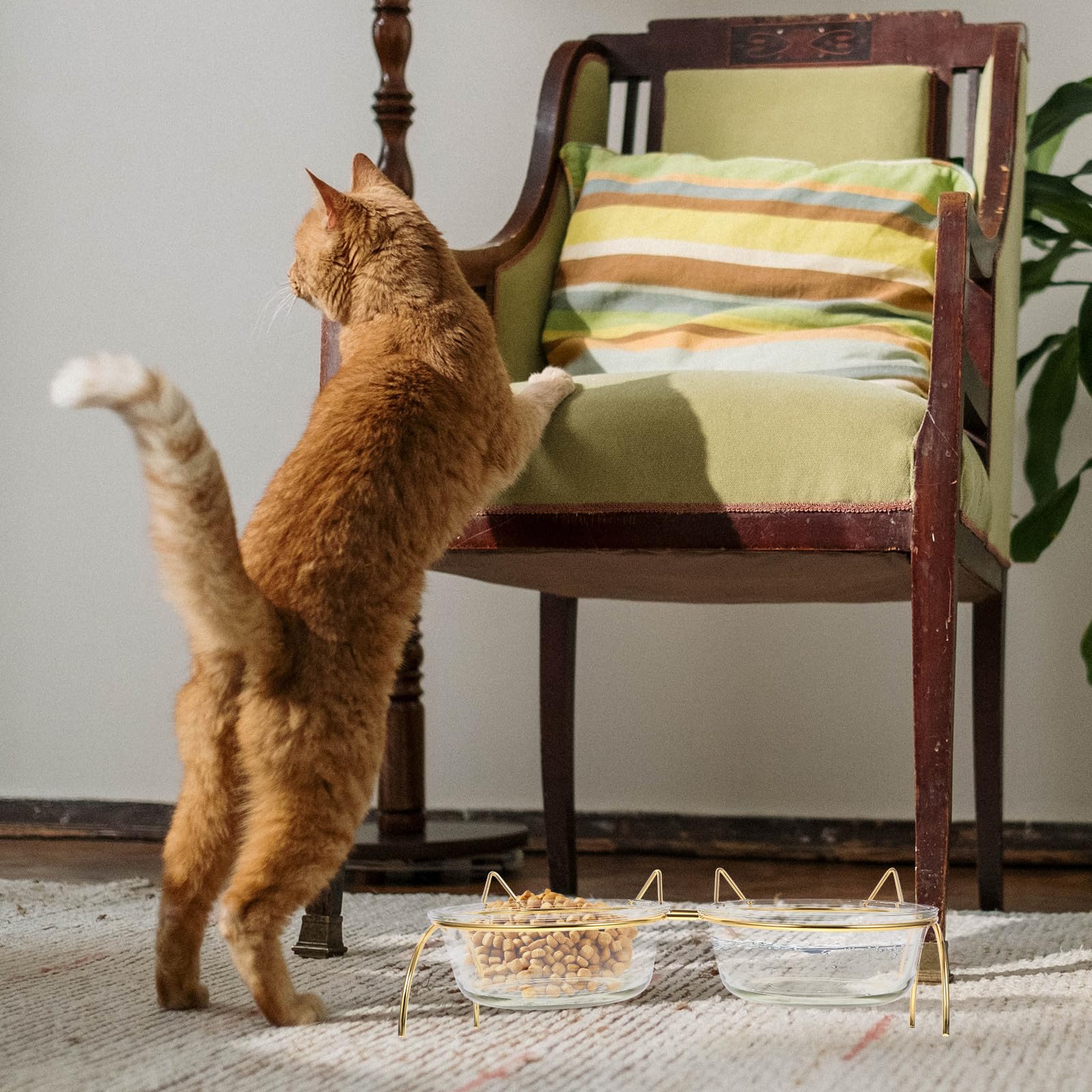 Erhöhter Katzennapf aus Glas mit Schräger Öffnung und Nackenschutz