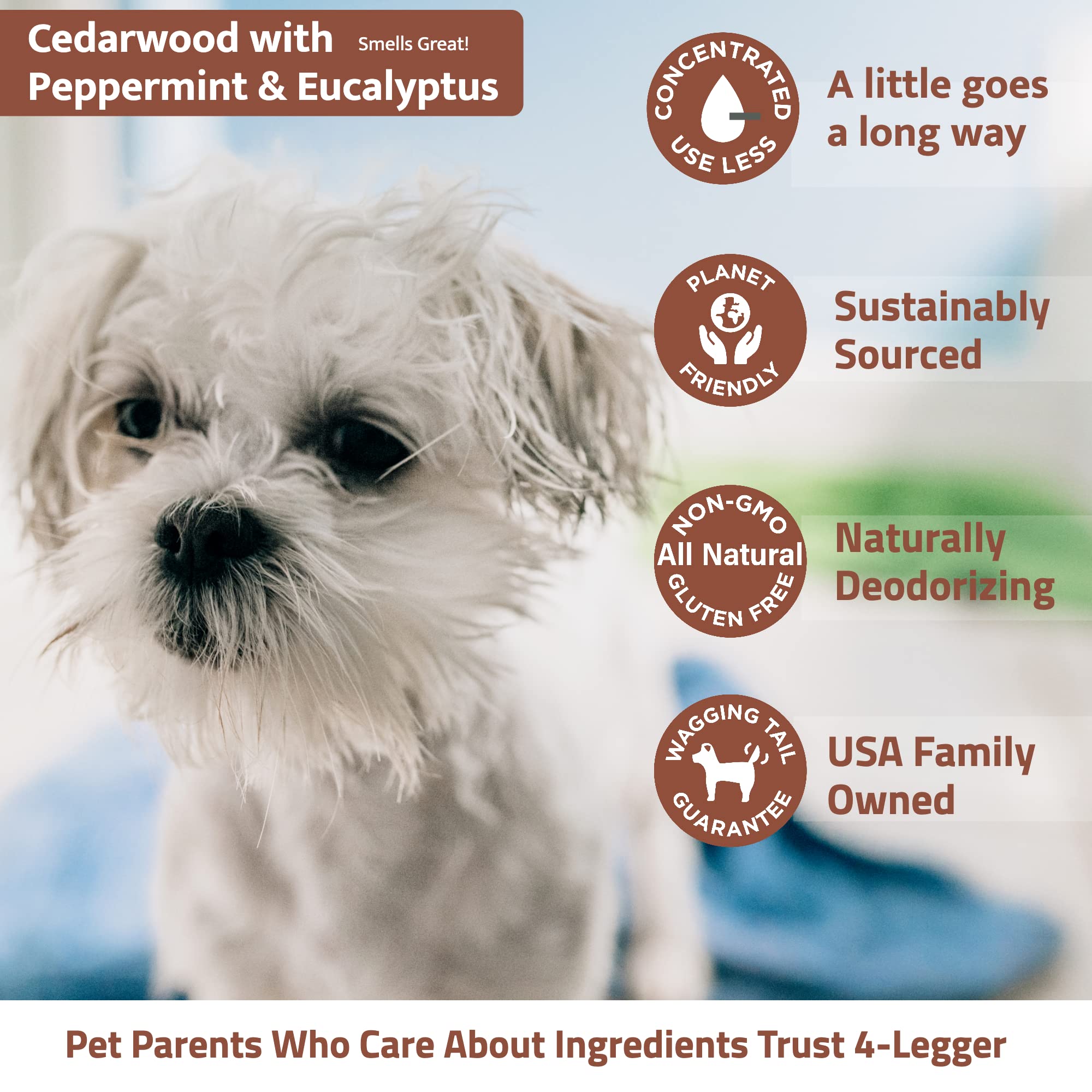 Do Dogs Like Cedar Smell