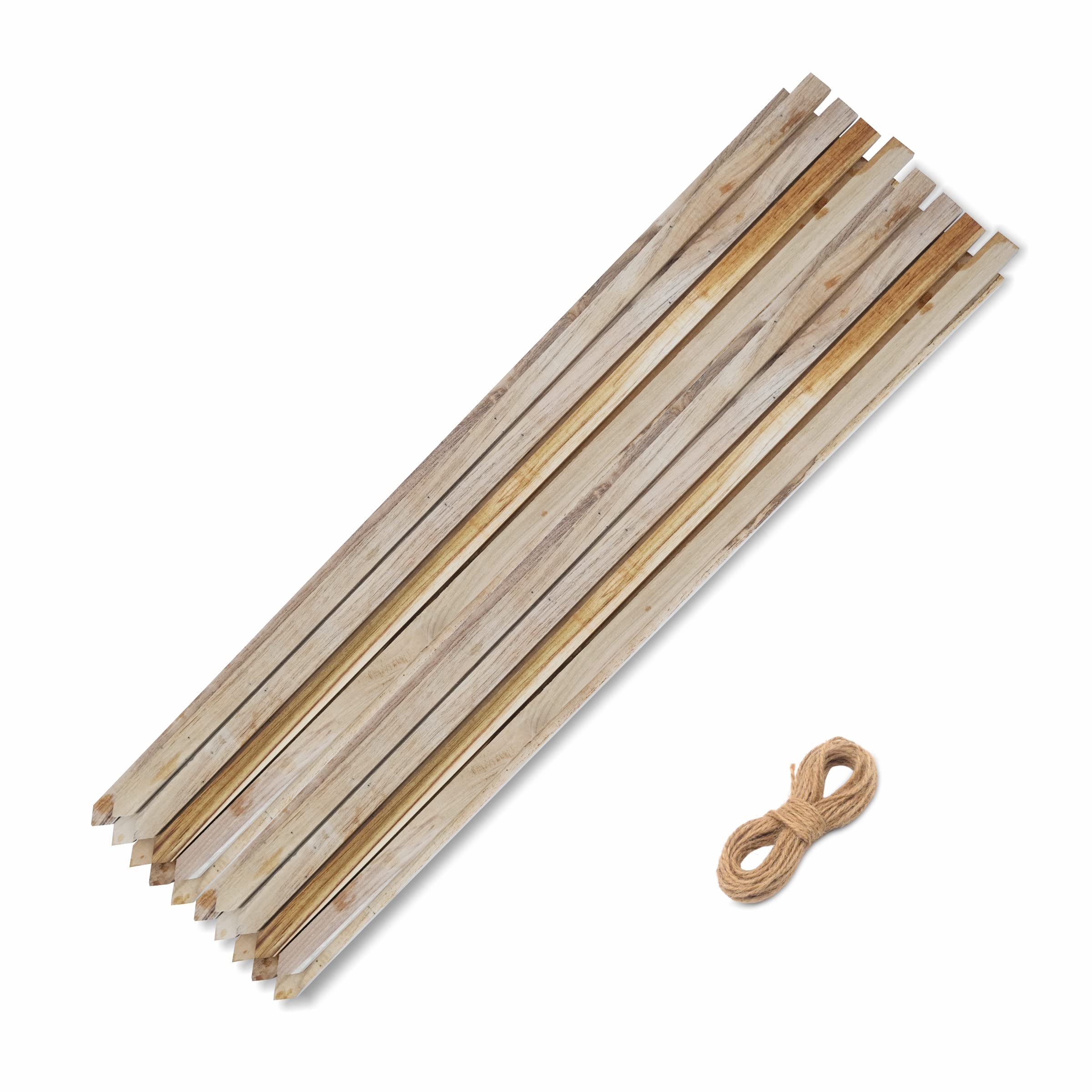 EXALT Extra Strong Wooden Sticks Plant Support | Creepers | Climber | Garden Stacks for Decoration Teak Wood (3 Feet, 12 Pcs) (B0BB7MSTPN) Amazon Price History, Amazon Price Tracker