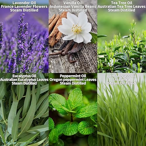 Miniatura 6 de MISIJI Juego de 6 aceites esenciales de aromaterapia para difusor para el hogar, aceites aromáticos para aromaterapia, lavandería, fabricación de