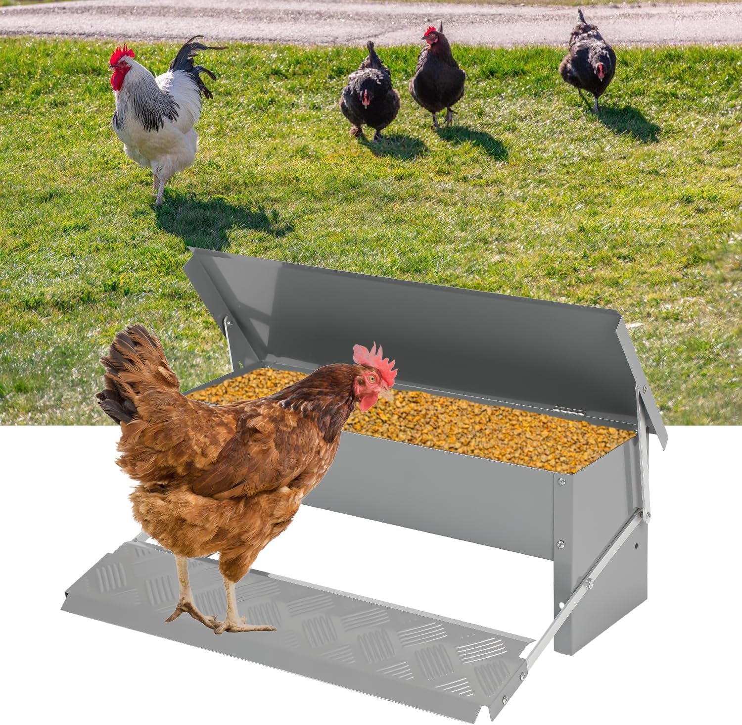 Breker Futterautomat Mit 4 Fressstellen - 3,5 Kg Volumen Für Geflügelhaltung